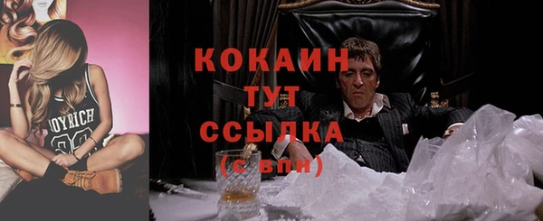 прущие грибы Белокуриха