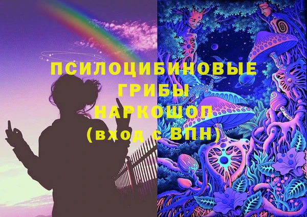 прущие грибы Белокуриха