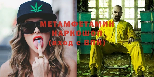 прущие грибы Белокуриха