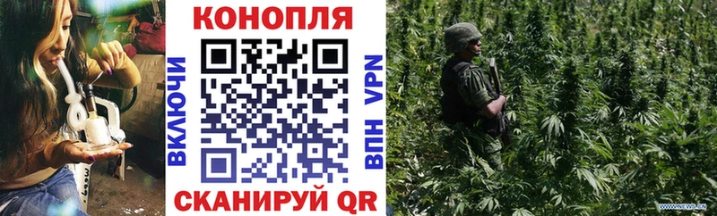 darknet Telegram  МЕГА зеркало  Бошки Шишки конопля  Черногорск  цена  